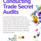 Conducting Trade Secret Audits